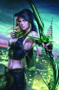 GFT ROBYN HOOD TP VOL 02 WANTED